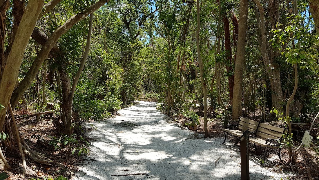 Simpson Rockland Hammock Preserve Park
